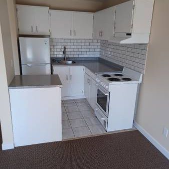 Newly renovated bachelor available now at Delta West - Photo 3