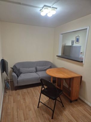 Room in a Shared Flat, North Gower St, NW1 - Photo 1