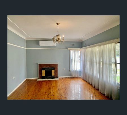3 Carabeen Street, Cabramatta, NSW 2166 - Photo 1