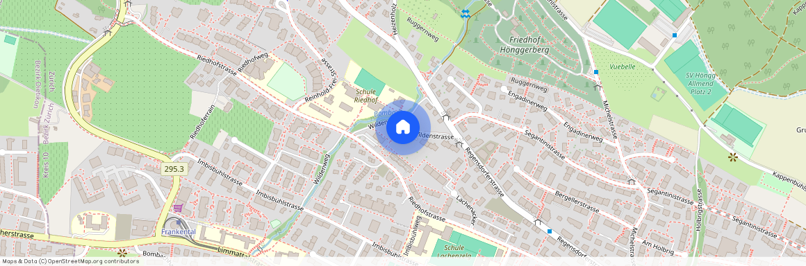 Wildenstrasse 15, 8049 Zürich