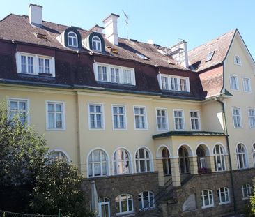 NEULENGBACH I/1 - Photo 3