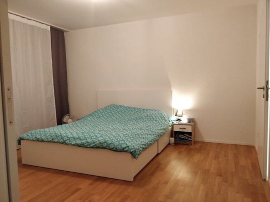 Recent housing in the new district of Payerne - Photo 1