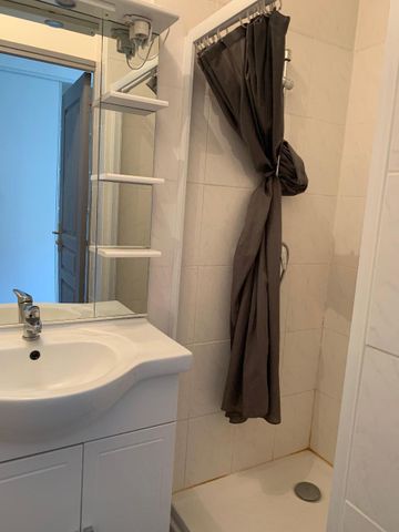 Location Appartement 1 pièce 20m² CLERMONT FERRAND 63000 - Photo 3