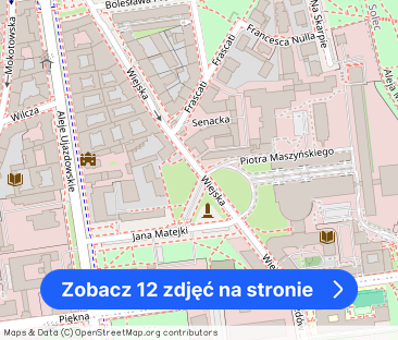 Klimatyczne mieszkanie na Wiejskiej - Zdjęcie 1