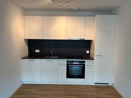 LE TICLE : Appartements neufs à louer - Foto 5