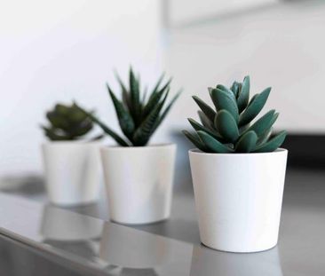 Studio rénové - Métro Crémazie - Photo 4