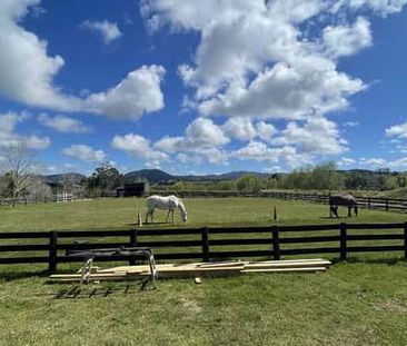 Unique Rental Opportunity in Kaiwaka - Photo 5