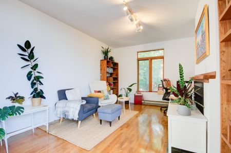 Appartement à louer, Montréal (Ville-Marie) - Photo 2