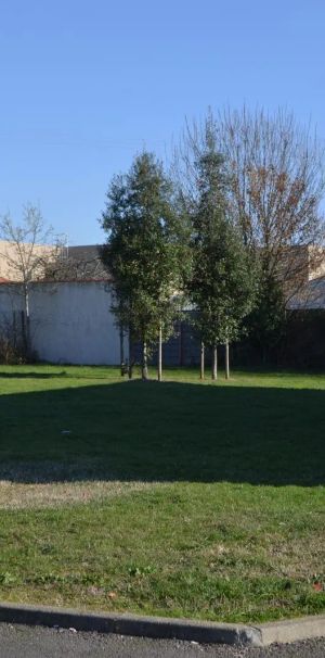 Appartement à louer 2 pièces 46.56m² - Photo 2