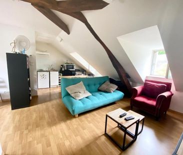 Location Appartement 1 pièce 26m² TOURS 37100 - Photo 3