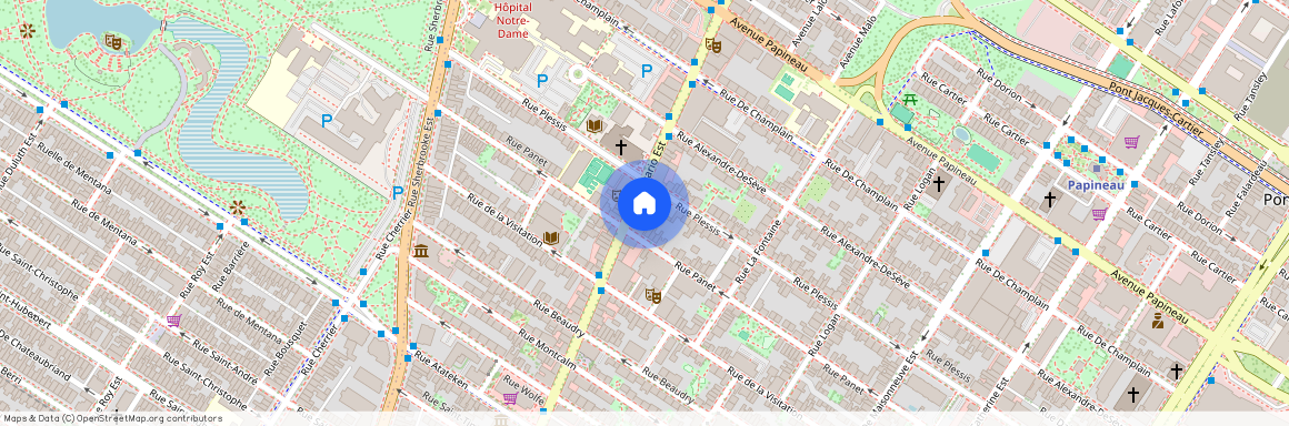 1370 Rue Ontario E, Montréal