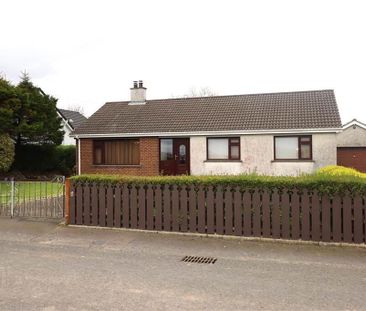 41A Drumlough Road, Hillsborough, BT26 6PX - Photo 6