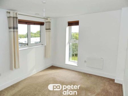 Selskar Court, Usk Way, NP20 - Photo 3