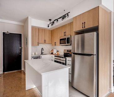 330 Metcalfe, Centretown, Ottawa, ON - Photo 3