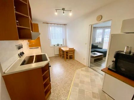 Pronájem prostorného a světlého bytu 1+1, 53 m - Фото 3