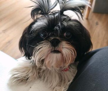 Perfekt Ort: EIN Zimmer in bester von NK, Nähe Kanals + Anmeldung - Photo 2