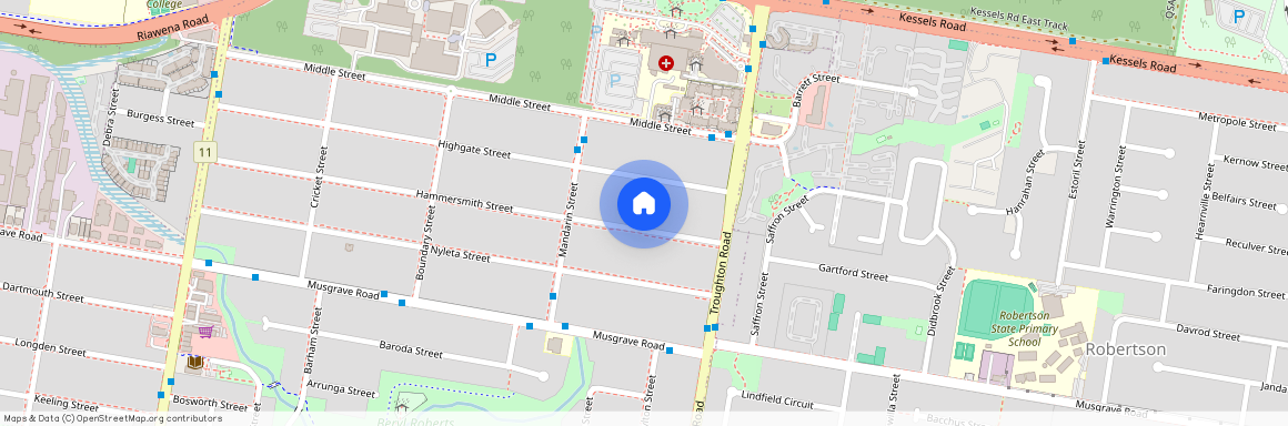 166 Hammersmith Street, Qld 4108, Coopers Plains