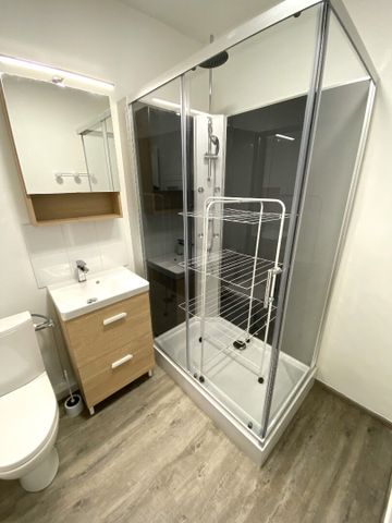 Location Appartement 1 pièce 24m² - Photo 4