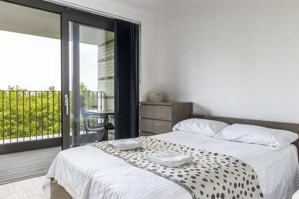 Apartment To Let - Photo 1