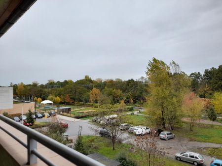 Duże, jasne 3 pokoje od zaraz, centrum, doskonała lokalizacja,okazja - Photo 3