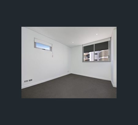 1B/150 Epping Road, Lane Cove, NSW 2066 - Photo 4