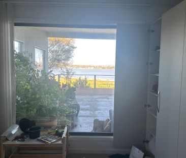 Hindmarsh Island - Photo 1