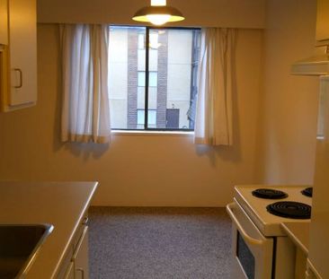 Spacious 1 Bedroom Apartment (Unit 217) - Photo 3