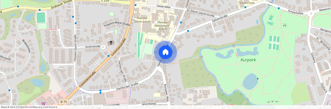 Hamburger Straße 53, 23843 Schleswig-Holstein - Bad Oldesloe