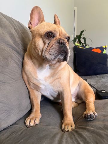 Burleigh Waters - Photo 2