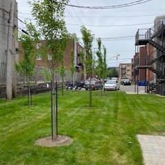 4 1/2 - Laval (Laval-des-Rapides) - 1 760 $/mois - Photo 2