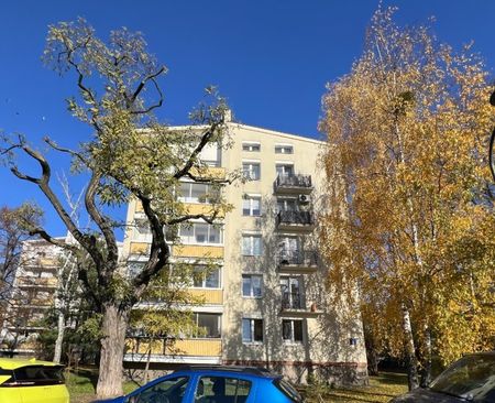 Słoneczne 2 pokoje, Bielany, blisko metra - Photo 2