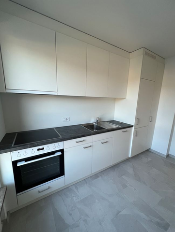 Helle Wohnung im Zentrum von Reinach - Photo 2