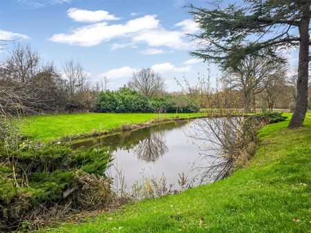 4 bedroom detached house to rent - Photo 5