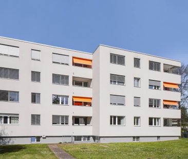 2 Zimmer, 50 m², 2. Stock - Photo 6