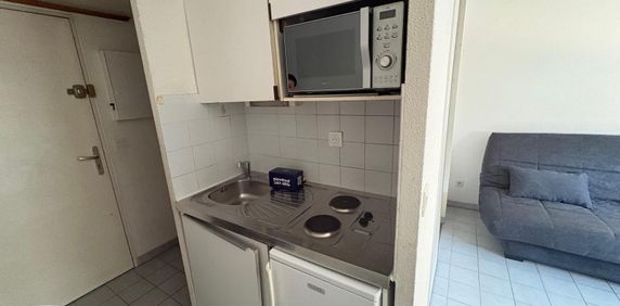 Location Appartement 1 pièce 18m² GRENOBLE 38000 - Photo 2