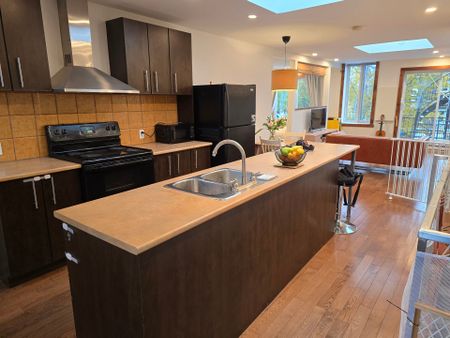 Appartement à louer, Montréal (Mercier/Hochelaga-Maisonneuve) - Photo 2