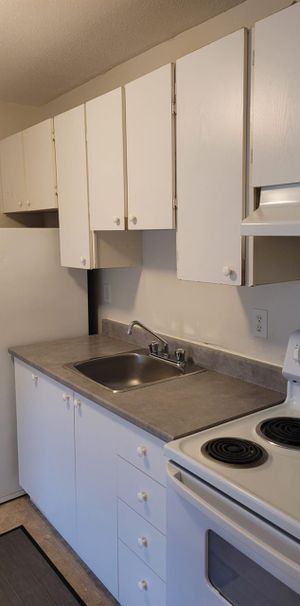 14 Rue D'Orléans (Gatineau) Beau 3 1/2 Près De Tout! - Photo 1