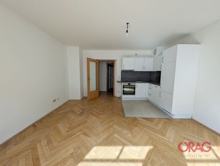 Südseitige 1-Zimmer Single-Wohnung nahe Reinprechtsdorfer Straße in 1050 Wien zu mieten - Photo 2