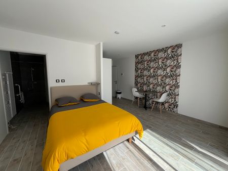 Location Appartement 1 pièce 30m² CARMAUX 81400 - Photo 5