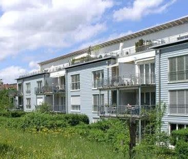 2.5 Zimmer, 63 m², EG - Photo 4