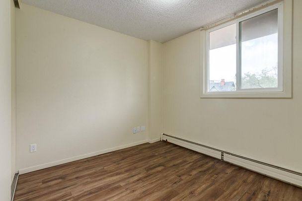 1 Bedroom - Photo 1