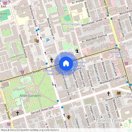 173 Carlton Street Unit# Lower 1, Toronto