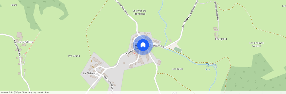 Puy-de-Dôme (63), Prondines