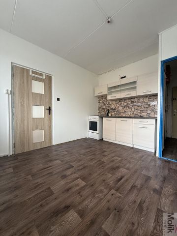 Pronájem bytu 1+1 38 m² - Photo 2