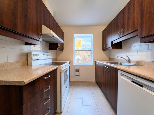 Rue Jeanne-Mance, H2X 2J8, Montréal - Photo 1