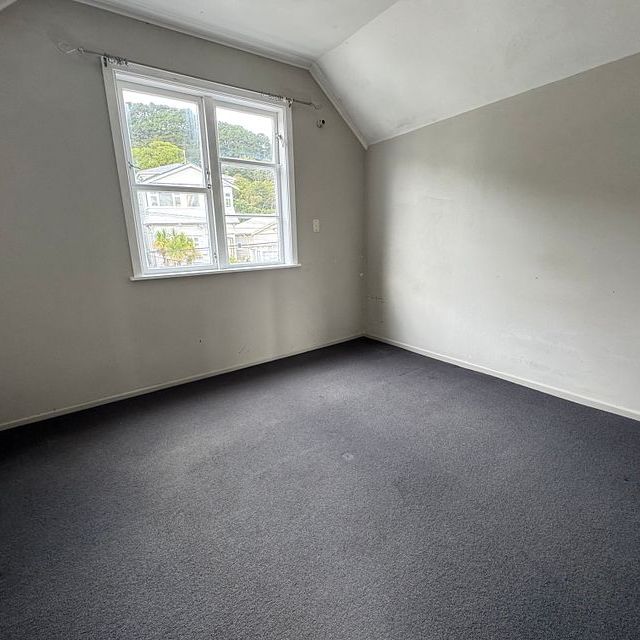 Sunny 3 bedroom apartment in Mt Vic - Photo 1
