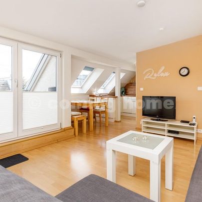 Perfect Single Living - Photo 1