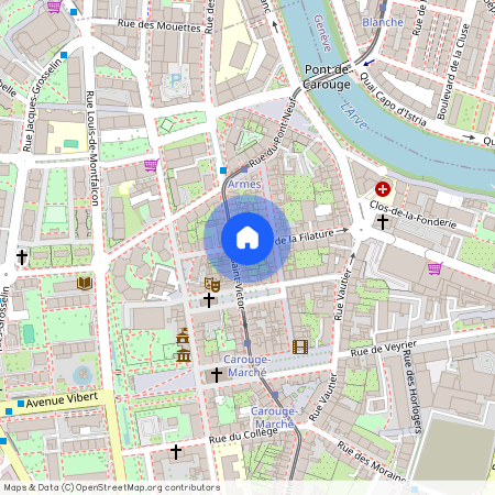 Carouge Ge