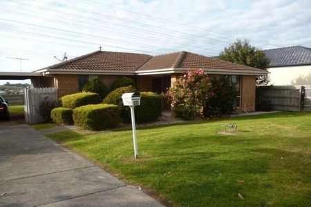 Delightful Family Home in Prime Hampton Park Location - Photo 4