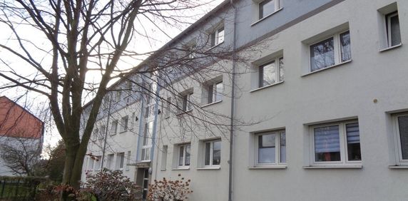 An der Langenfuhr 12, 41539 Dormagen - Photo 2